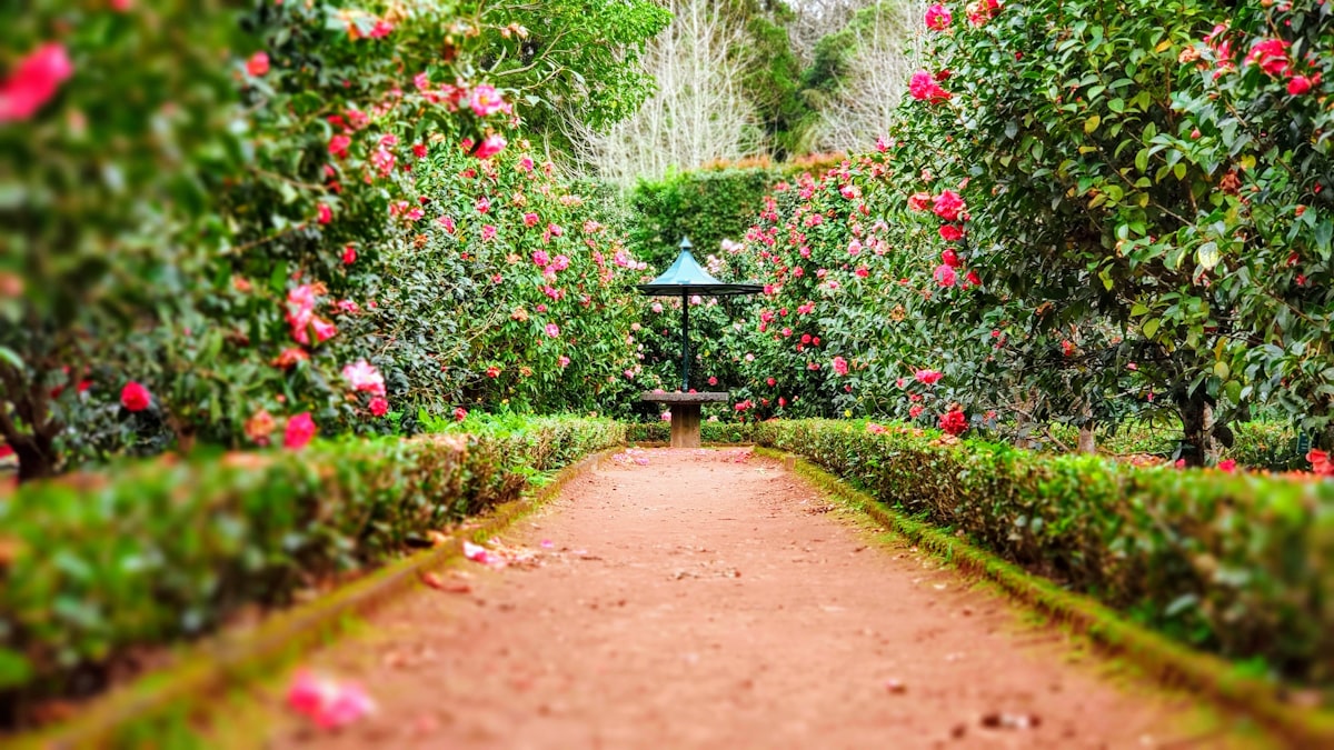 Jardin